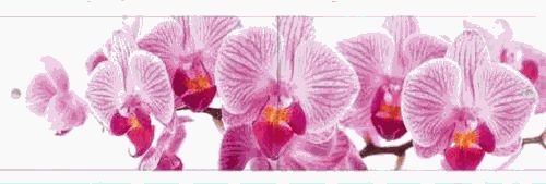 экран под ванну Ультралёгкий АРТ 168 Дикая орхидея